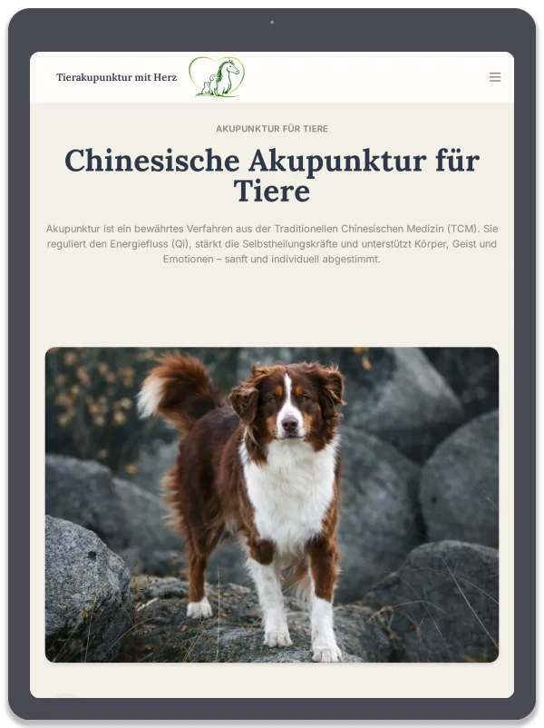 Tierakupunktur mit Herz — Leistungen