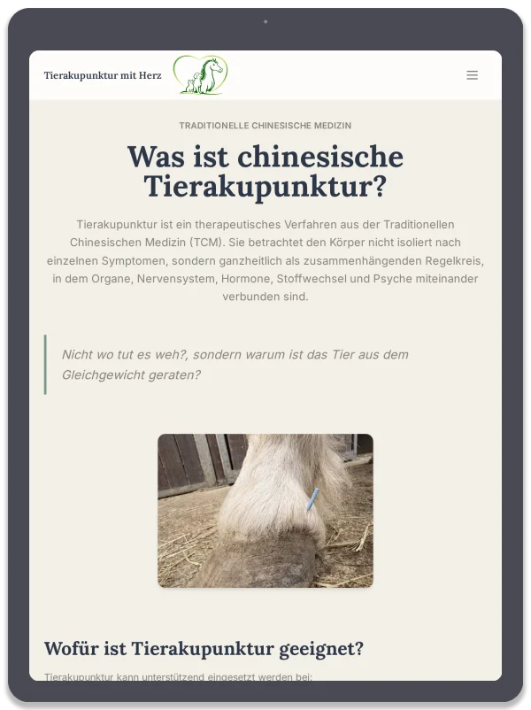 Tierakupunktur mit Herz — Was ist Akupunktur