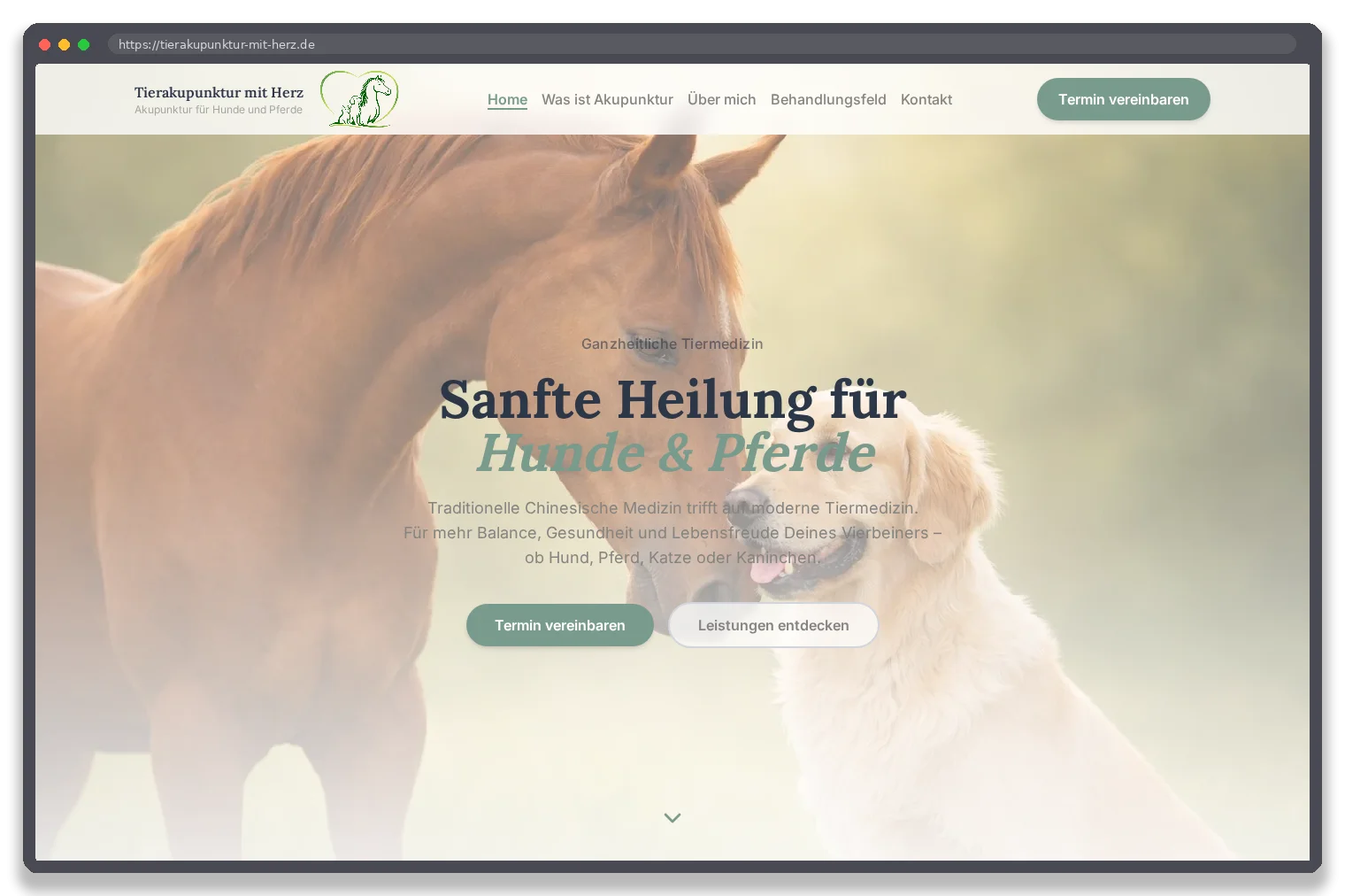 Tierakupunktur mit Herz — Desktop-Ansicht